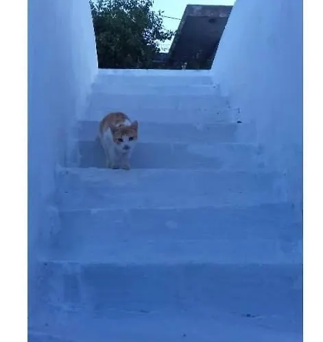 Katerinas House * Kóronos